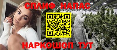 спиды Новокубанск
