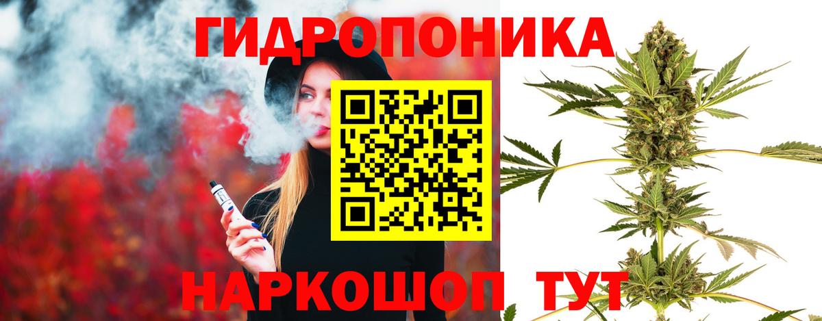 Шишки марихуана ГИДРОПОН  Вход с VPN  Чебаркуль  Канабис гибрид  Марихуана планчик 